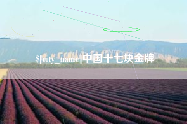 沛县中国十七块金牌