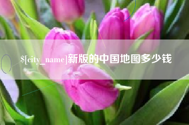 沛县新版的中国地图多少钱