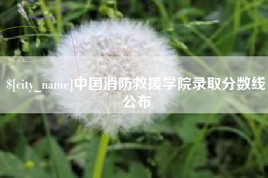沛县中国消防救援学院录取分数线公布