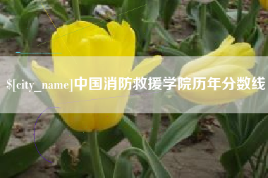 沛县中国消防救援学院历年分数线