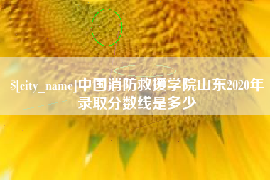 沛县中国消防救援学院山东2020年录取分数线是多少