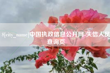 沛县中国执政信息公开网-失信人员查询页