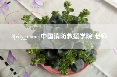 沛县中国消防救援学院 老师