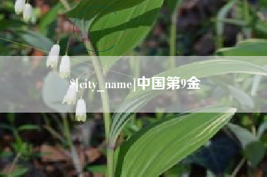 沛县中国第9金