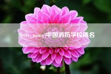 沛县中国消防学校排名