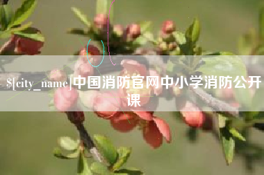 沛县中国消防官网中小学消防公开课