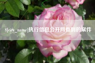 沛县执行信息公开网查到的案件