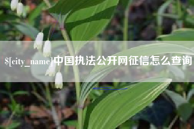 沛县中国执法公开网征信怎么查询