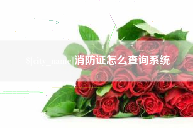 沛县消防证怎么查询系统