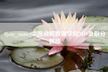 沛县中国消防救援学院2019录取分数线