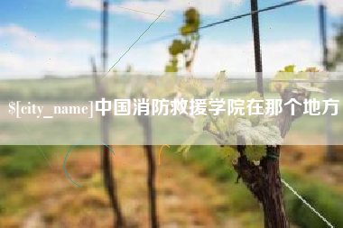 沛县中国消防救援学院在那个地方