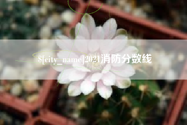 沛县2021消防分数线