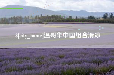 沛县温哥华中国组合滑冰