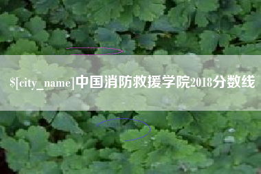 沛县中国消防救援学院2018分数线