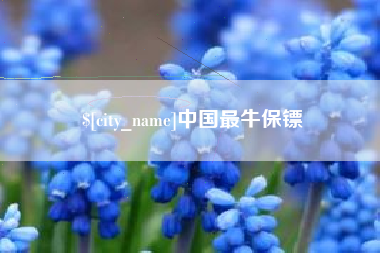 沛县中国最牛保镖