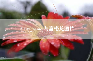 沛县九宫格龙图片