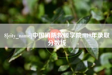 沛县中国消防救援学院2019年录取分数线