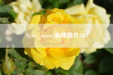 沛县金牌图片2021