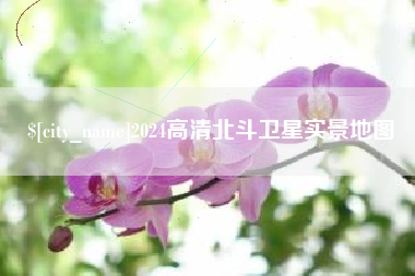 沛县2024高清北斗卫星实景地图