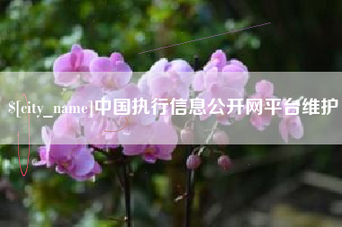 沛县中国执行信息公开网平台维护