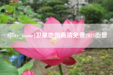 沛县卫星地图高清免费2024街景