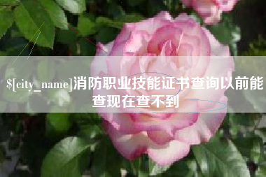 沛县消防职业技能证书查询以前能查现在查不到