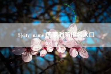 沛县国家消防报名入口