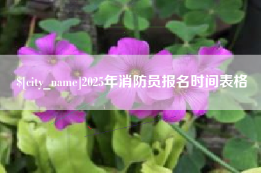 沛县2025年消防员报名时间表格