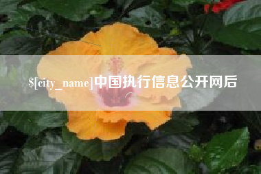 沛县中国执行信息公开网后