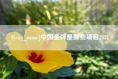 沛县中国金牌是哪些项目2021
