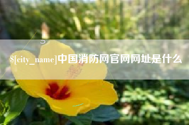 沛县中国消防网官网网址是什么