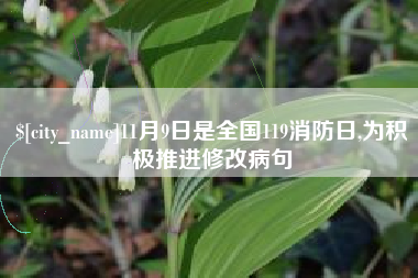 沛县11月9日是全国119消防日,为积极推进修改病句
