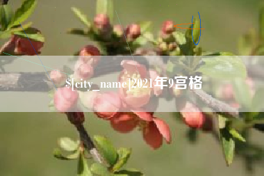 沛县2021年9宫格