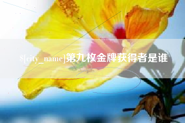 沛县第九枚金牌获得者是谁