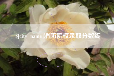 沛县消防院校录取分数线