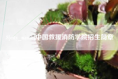 沛县中国救援消防学院招生简章
