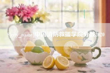 沛县中国消防救援学院分数2020