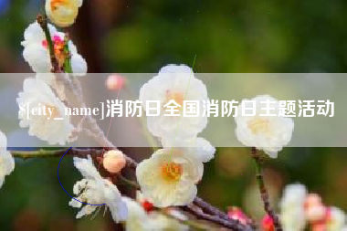 沛县消防日全国消防日主题活动