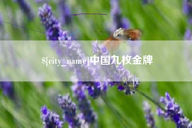 沛县中国九枚金牌
