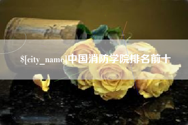 沛县中国消防学院排名前十