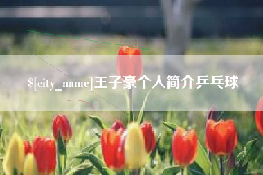 沛县王子豪个人简介乒乓球