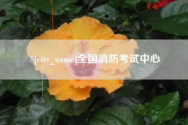 沛县全国消防考试中心