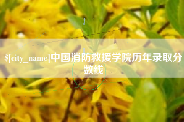 沛县中国消防救援学院历年录取分数线
