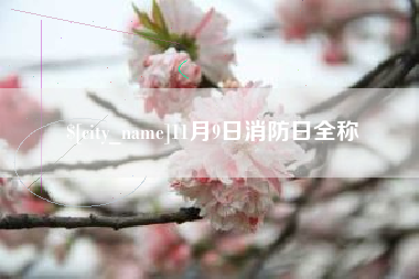 沛县11月9日消防日全称