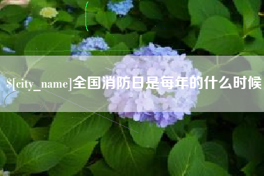 沛县全国消防日是每年的什么时候