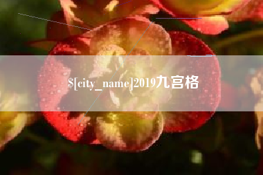 沛县2019九宫格