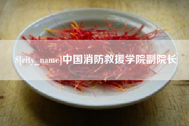 沛县中国消防救援学院副院长