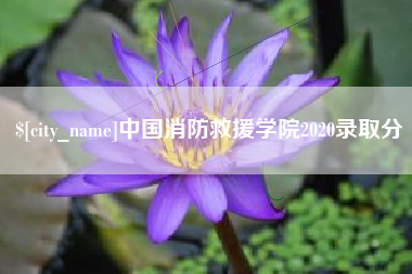 沛县中国消防救援学院2020录取分