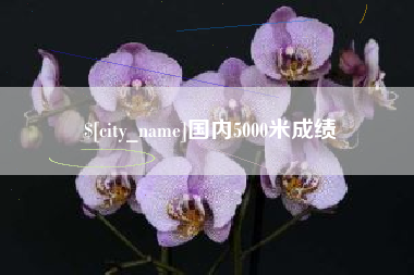 沛县国内5000米成绩