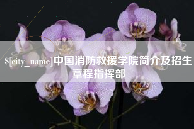 沛县中国消防救援学院简介及招生章程指挥部